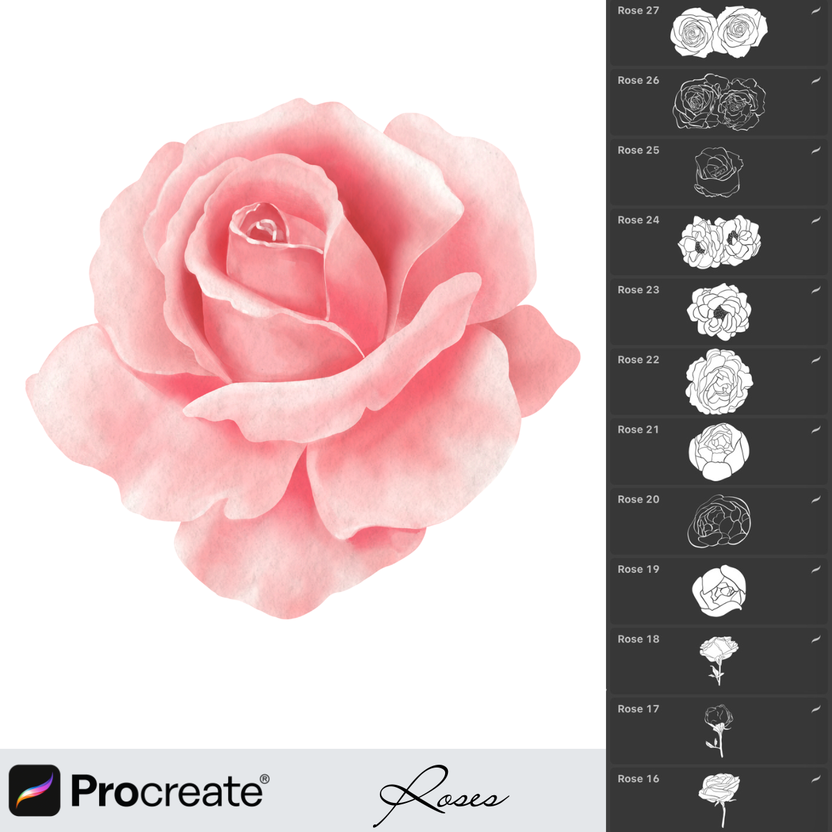 61 Roses Brushes